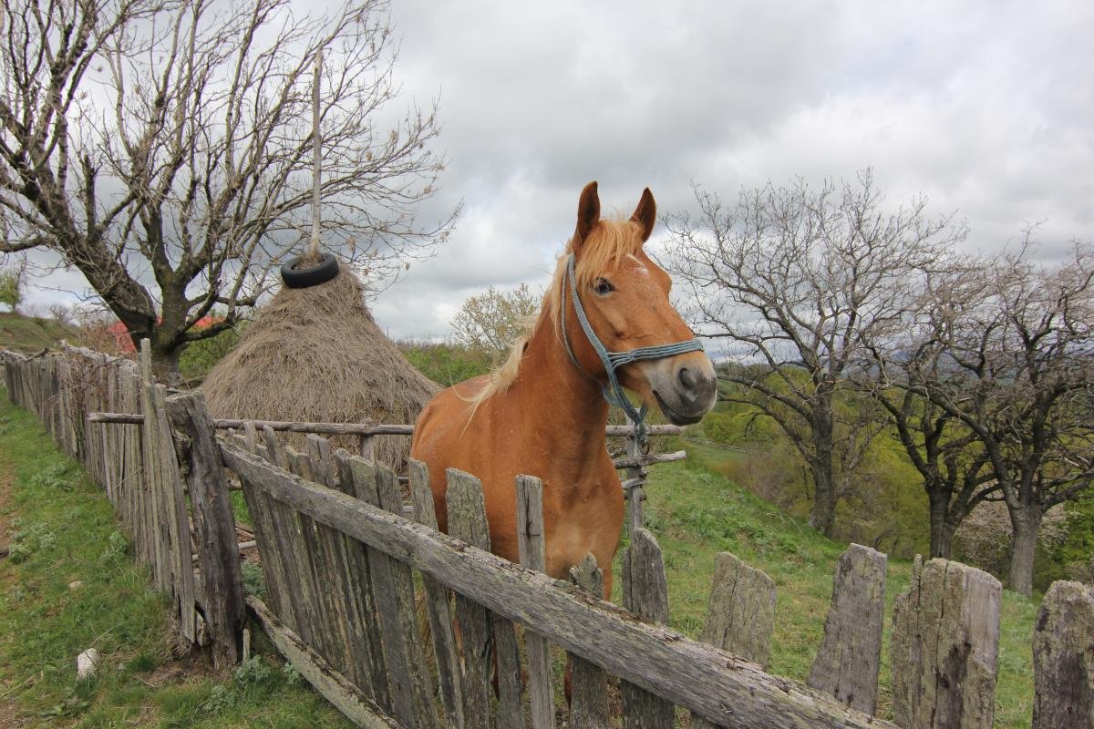 Rovensko, nejmalebnější vesnice celého českého Banátu