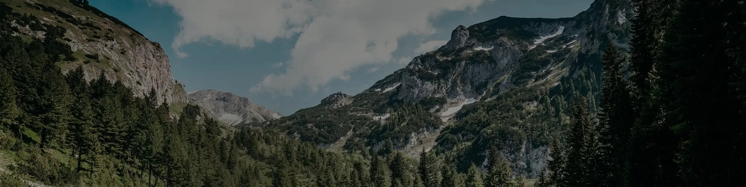 Přežití v přírodě